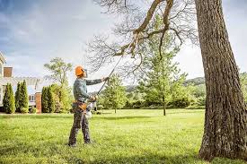 How Our Tree Care Process Works  in  Lorena, TX