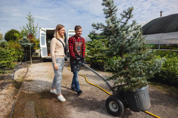 Best Hazardous Tree Removal  in Lorena, TX